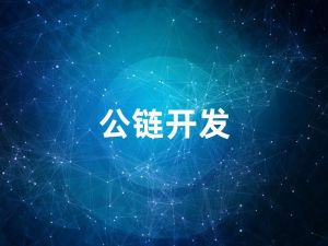 公鏈開(kāi)發(fā)